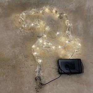 Colin Cowie Beaded Lights